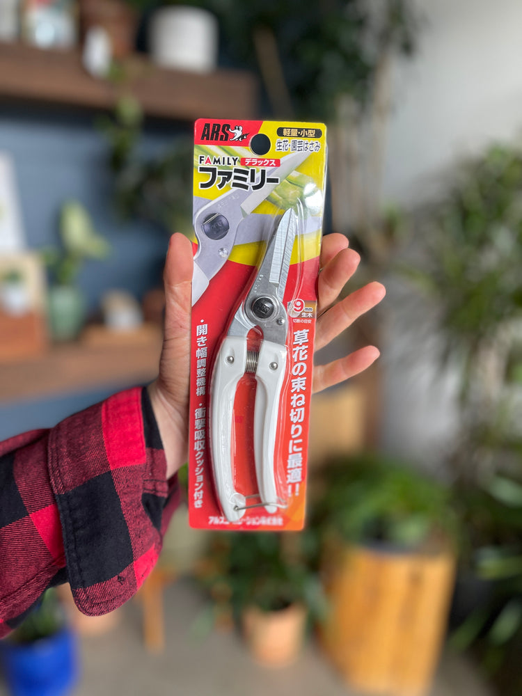 Japanese Clippers