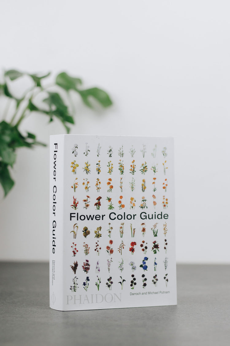 Flower Color Guide