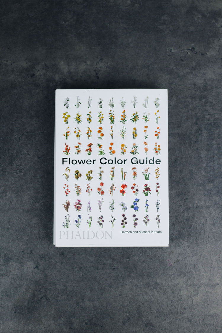 Flower Color Guide