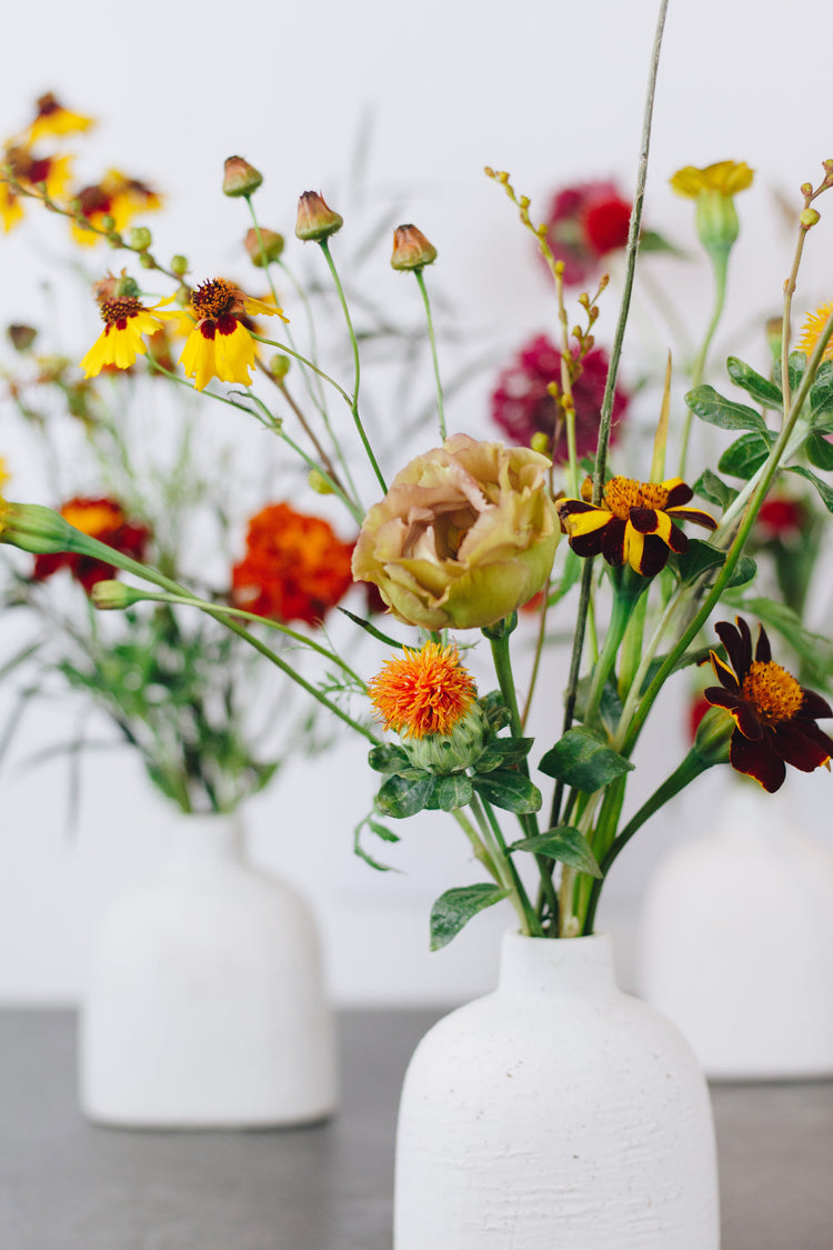 Seasonal Bud Vases