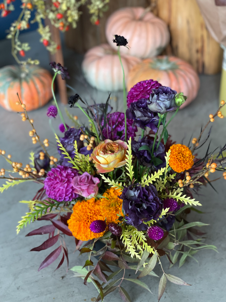 THANKSGIVING CLASS | SATURDAY 11.22.25 | 3-4:30PM